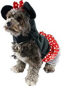 20 Best Couple and Dog Halloween Costumes — Sugar & Cloth