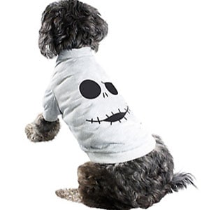 halloween costume for dogs