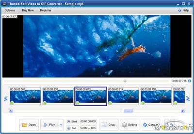 ThunderSoft GIF Converter 5 Free Download