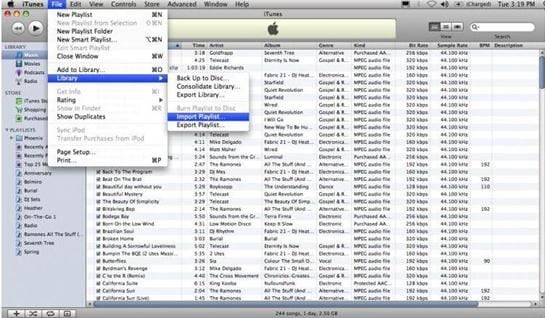 rebuild itunes library