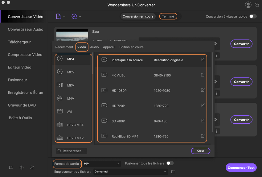 convertir mp4 en dv sur mac