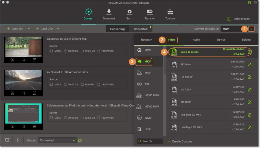 output as mkv on mts to mkv converter