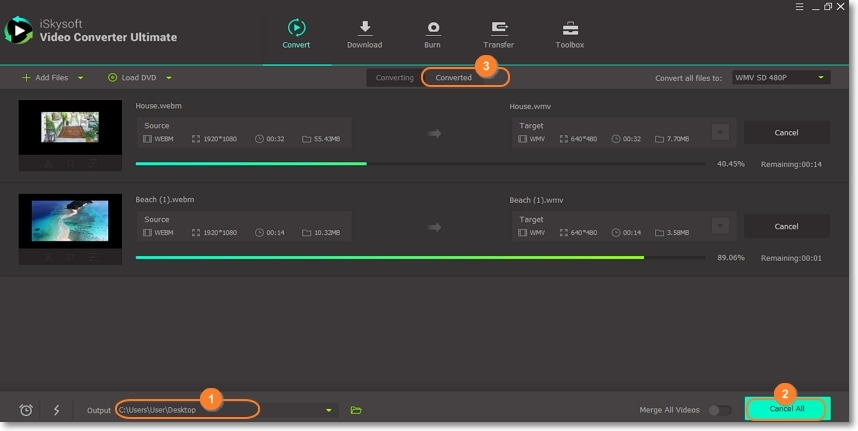 iSkysoft WebM to WMV converter