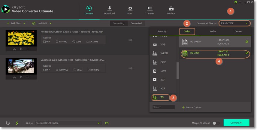 output as ts on mp4 to ts converter