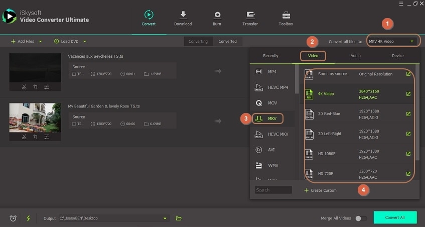 output as mkv on ts to mkv converter