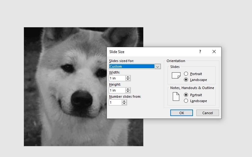 Detailed Guide on How to Convert Photo to GIF Successfully