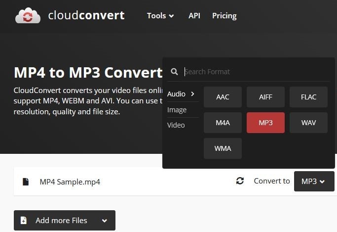 select mp3 output format