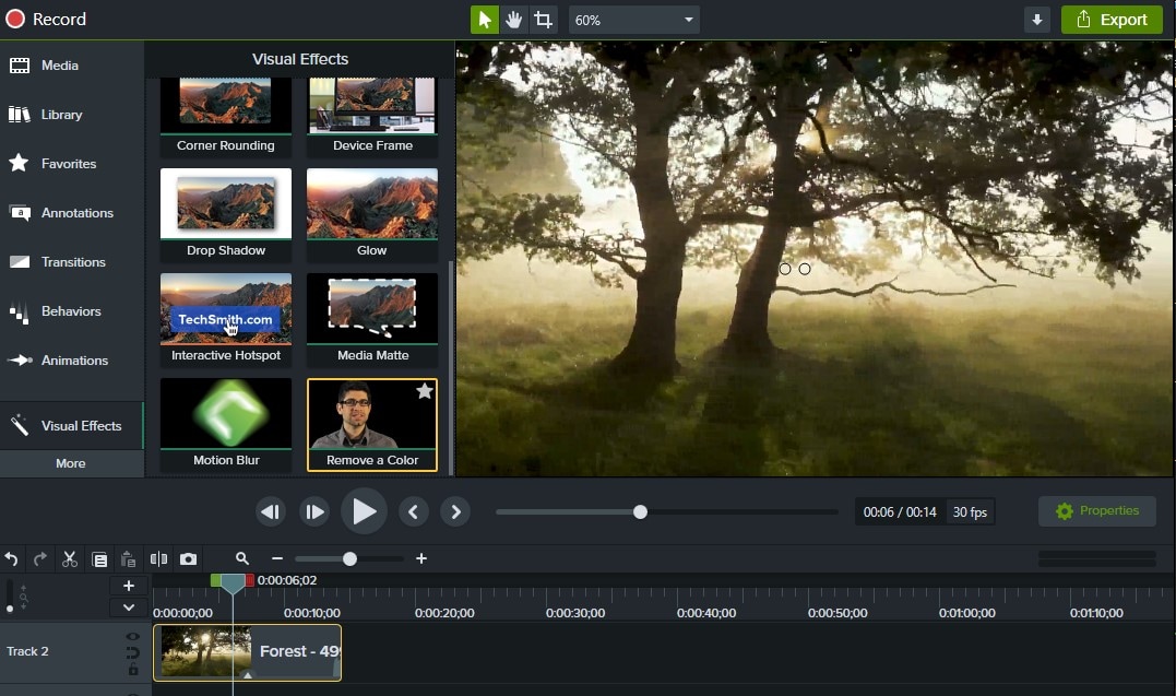 video background remover camtasia