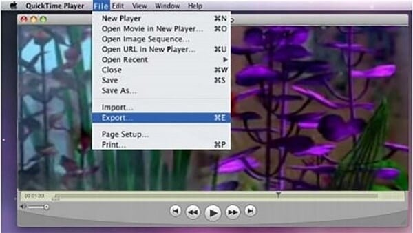 add file to quicktime